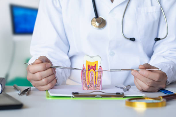 Best Cosmetic Emergency Dentistry in Lowell, MA